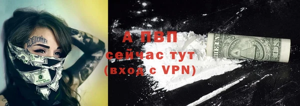 эйфоретик Строитель