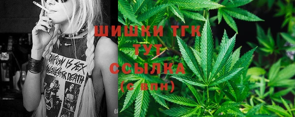 стафф Струнино