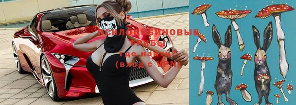 стафф Струнино