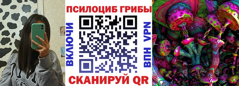 Галлюциногенные грибы GOLDEN TEACHER Купить Серпухов